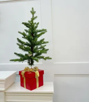 3 FT Allison Pine Pottable Tree With Red Gift Box Base