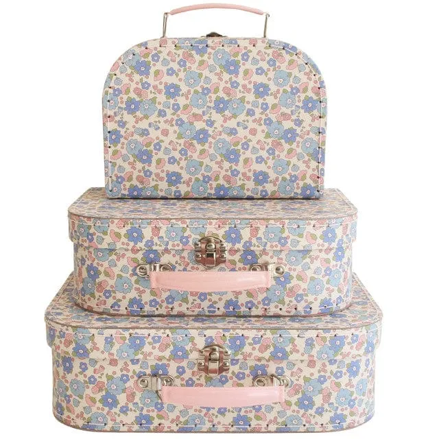 Alimrose Carry Case Set 3pcs