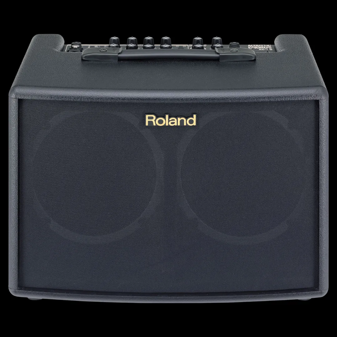 Roland AC-60 - 60-watt 2x6.5" Stereo Acoustic Amp - Black