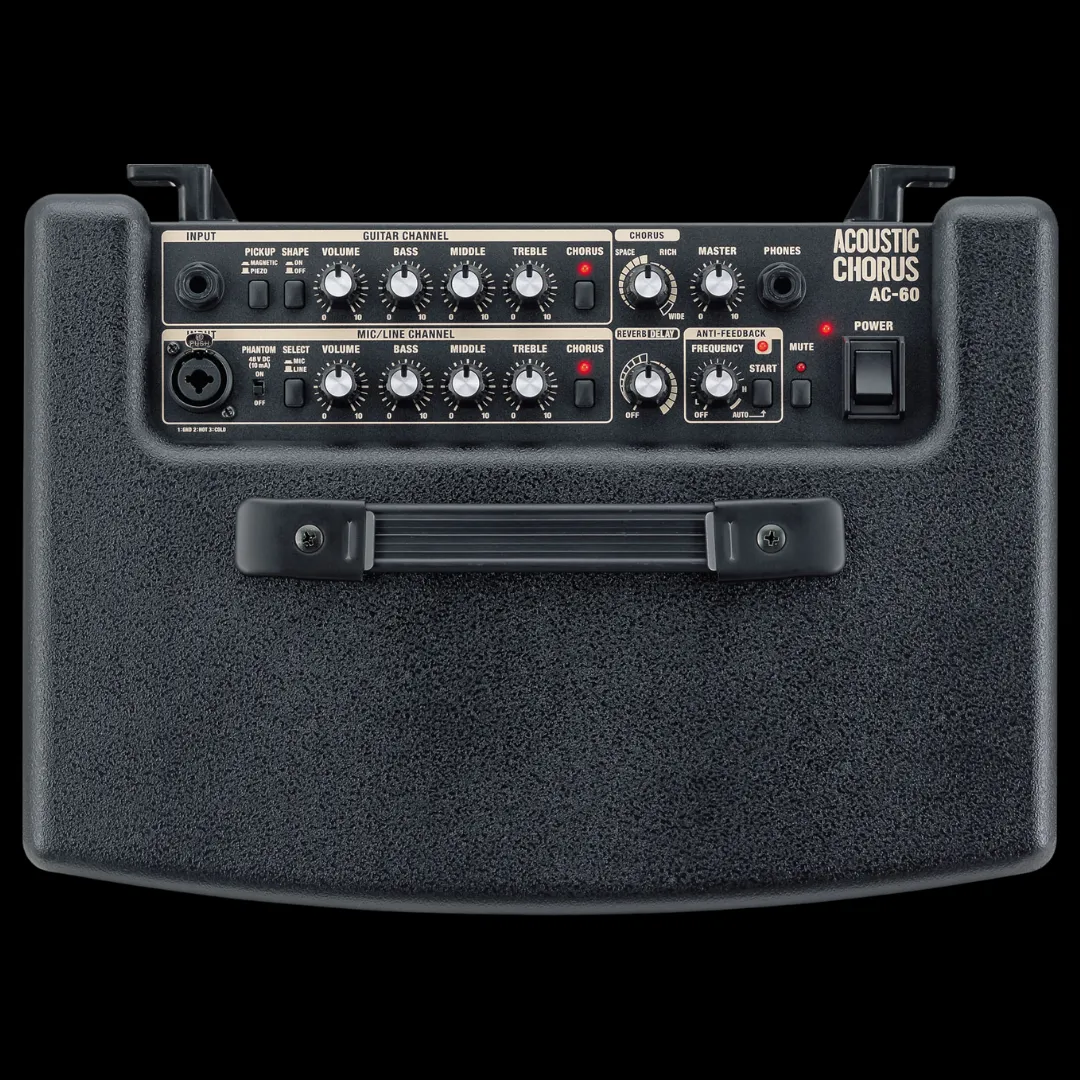 Roland AC-60 - 60-watt 2x6.5" Stereo Acoustic Amp - Black